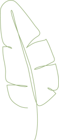 rev_4.png