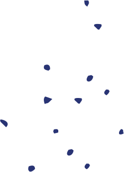 Home-2-rev-img-4.png